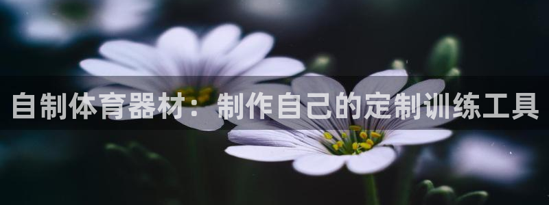 极悦平台官方网址查询：自制体育器材：制作自己的定制训