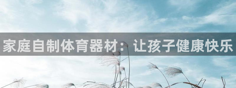 极悦平台代理怎么样：家庭自制体育器材：让孩子健康快乐