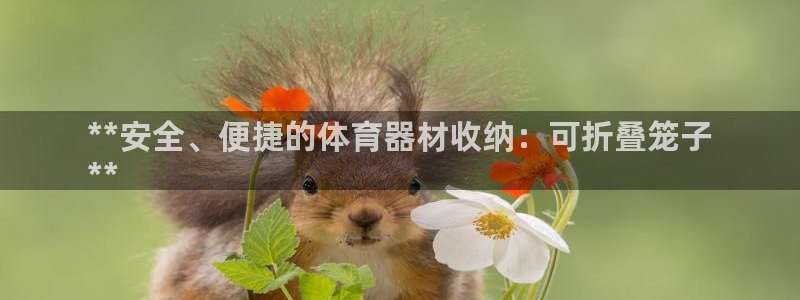 极悦官网首页登录入口网站：**安全、便捷的体育器材收纳：可折