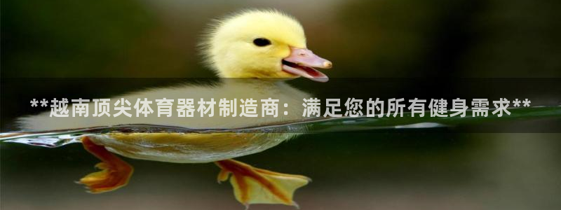 极悦平台注册流程图：**越南顶尖体育器材制造商：满足
