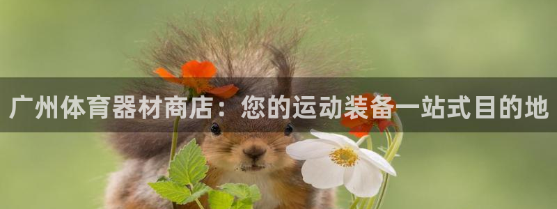 极悦平台登录入口注册不了：广州体育器材商店：您的运动