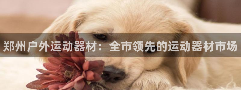 极悦平台注册官网：郑州户外运动器材：全市领先的运动器