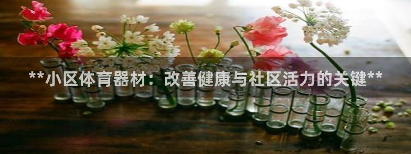 极悦平台登录不进去怎么回事：**小区体育器材：改善健