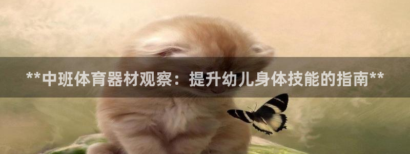 极悦生活家是什么平台的软件：**中班体育器材观察：提