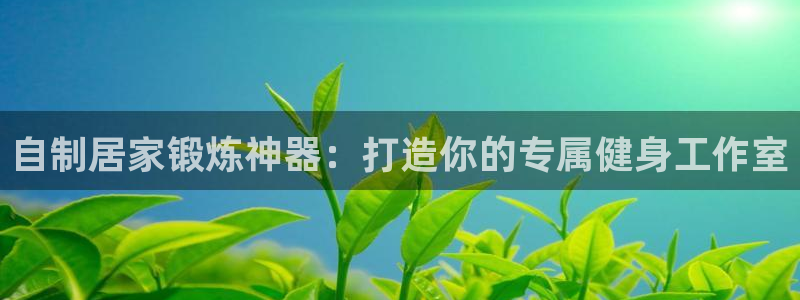 极悦平台注册申请流程详解视频：自制居家锻炼神器：打造