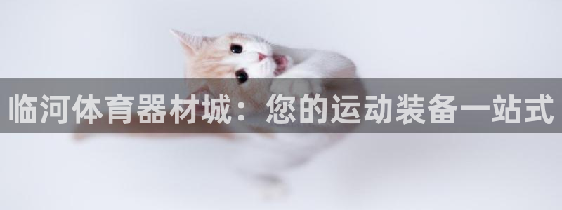 极悦娱乐app官方版本更新内容下载：临河体育器材城：