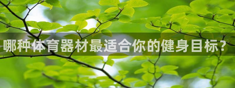 极悦平台方7O777：哪种体育器材最适合你的健身目标