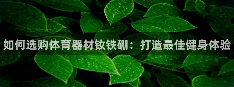 极悦平台注册官方网站下载安卓：如何选购体育器材钕铁硼