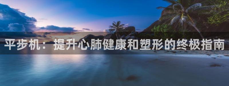 极悦平台客服团队介绍：平步机：提升心肺健康和塑形的终