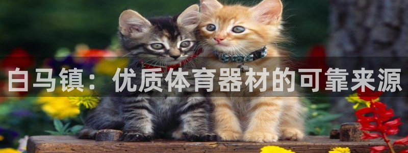 极悦娱乐会被骗吗是真的吗：白马镇：优质体育器材的可靠