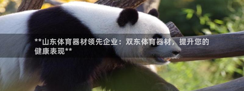 极悦娱乐最新版本更新内容介绍：**山东体育器材领先企