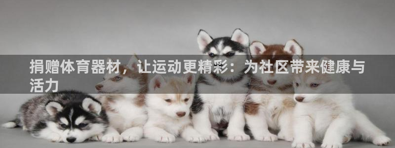 极悦娱乐的背景和历史背景分析：捐赠体育器材，让运动更精彩：为