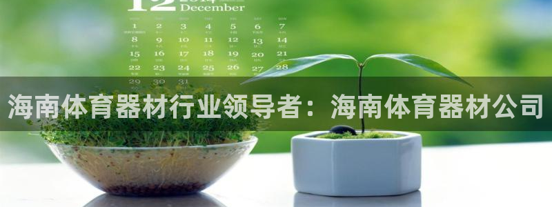加盟极悦教育怎么样：海南体育器材行业领导者：海南体育器材公司