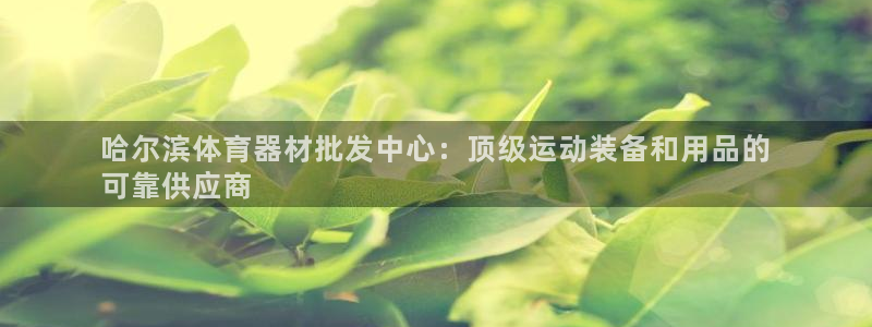 极悦娱乐的最新版本更新内容在哪：哈尔滨体育器材批发中
