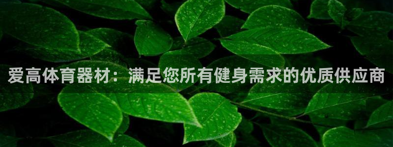 极悦平台官网登录入口网址是什么：爱高体育器材：满足您所有健身