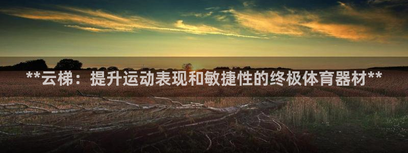 极悦官网注册最新版本更新内容在哪：**云梯：提升运动表现和敏