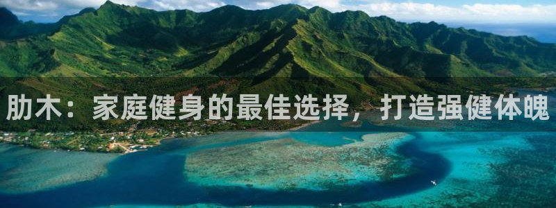 极悦娱乐创始人背景故事是什么：肋木：家庭健身的最佳选择，打造