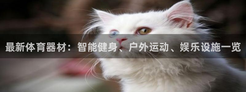 极悦娱乐现在叫什么