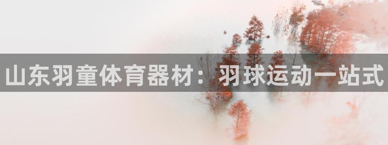 极悦平台看7O777：山东羽童体育器材：羽球运动一站