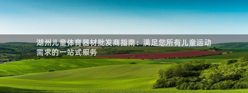 极悦平台注册用户名格式：湖州儿童体育器材批发商指南：满足您所