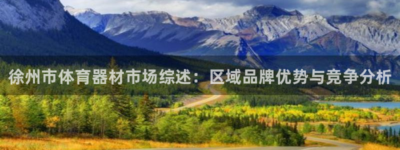 极悦平台登录不进去怎么回事呢：徐州市体育器材市场综述