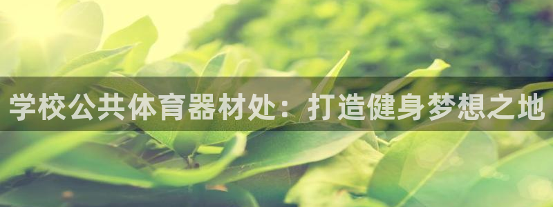 极悦平台的注册流程及注意事项：学校公共体育器材处：打