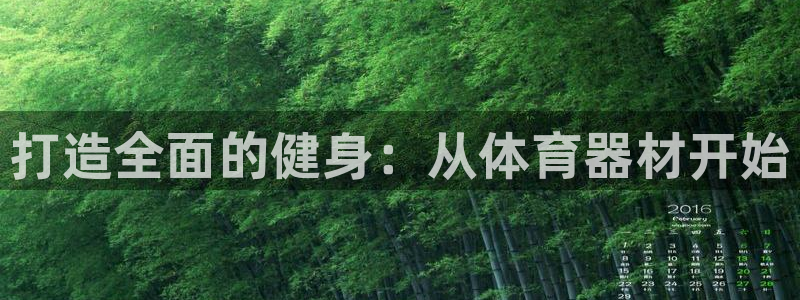 极悦平台注册资金多少钱：打造全面的健身：从体育器材开