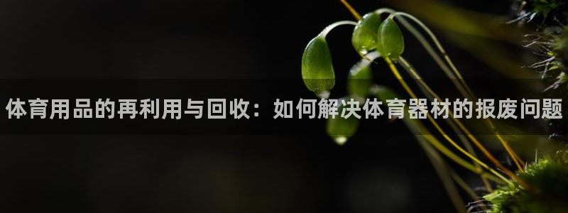 极悦娱乐下载安装手机版：体育用品的再利用与回收：如何