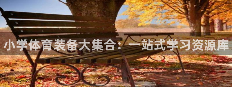 极悦平台注册登录入口：小学体育装备大集合：一站式学习