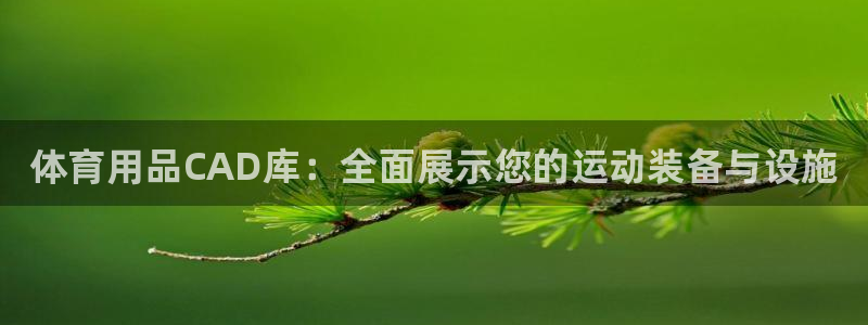 极悦平台客服团队名称：体育用品CAD库：全面展示您的