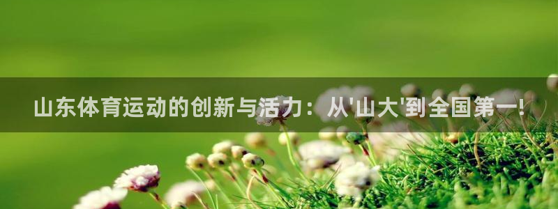 加盟极悦教育怎么样