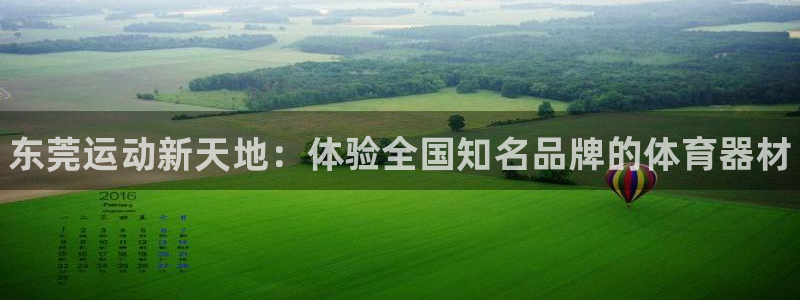 苏州极悦信息科技有限公司：东莞运动新天地：体验全国知