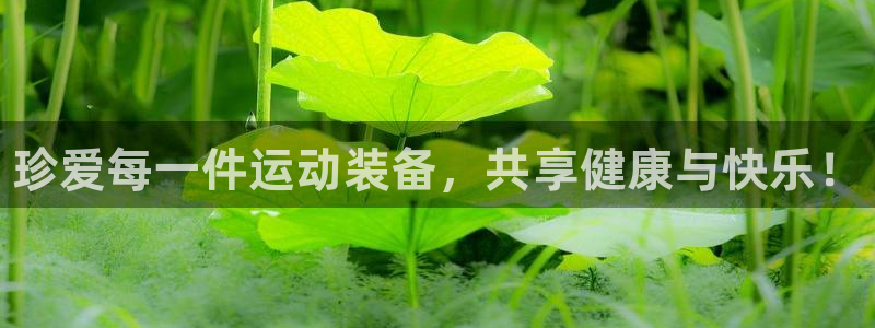 极悦平台官方网站首页登录