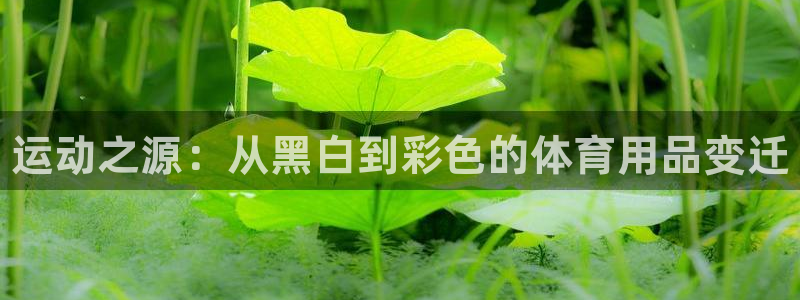极悦平台官网登录网址是多少：运动之源：从黑白到彩色的体育用品