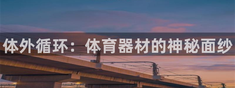 极悦娱乐的创始人背景故事：体外循环：体育器材的神秘面纱