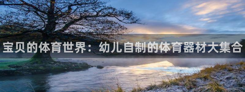 极悦平台注册用户名格式是什么：宝贝的体育世界：幼儿自制的体育