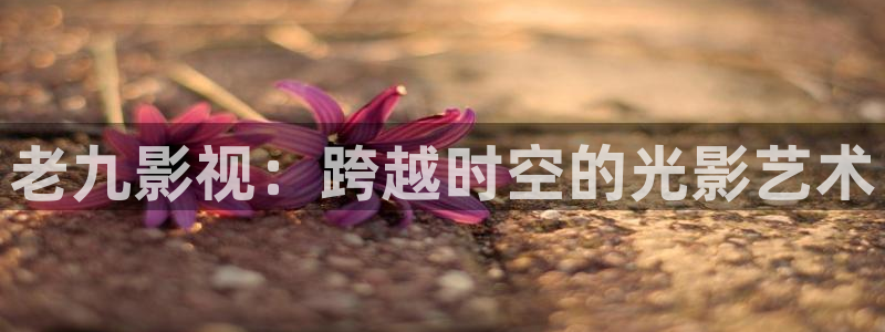 麻花视频在线播放免费观看