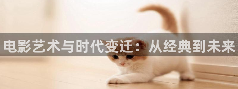 麻花视频软件