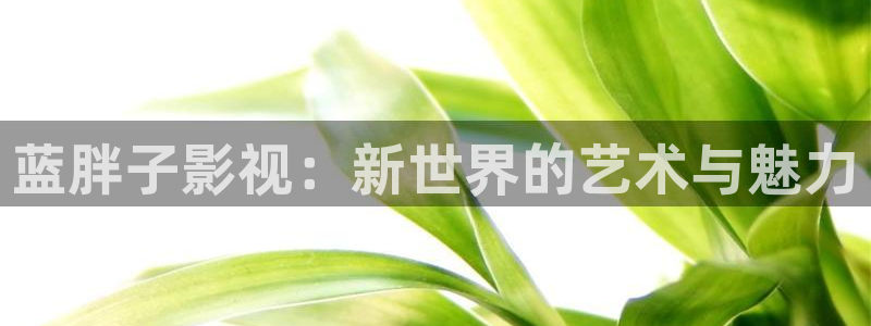 麻花视频免费版