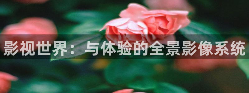 天美麻花视频