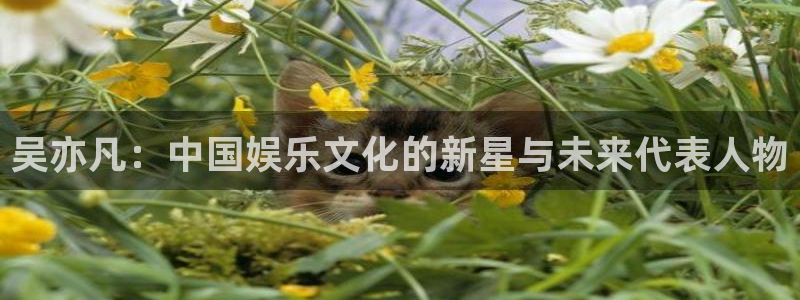 麻花机做麻花视频