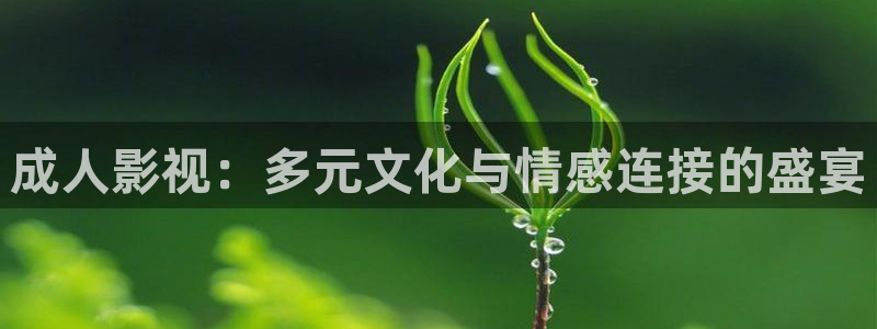 麻花传剧原创mv免费播放