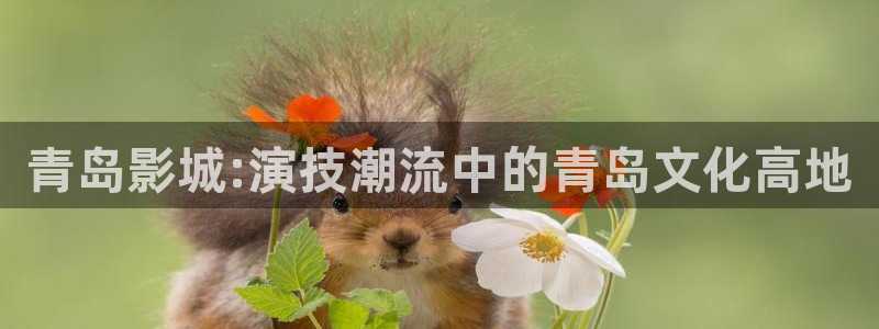 麻花机做麻花视频