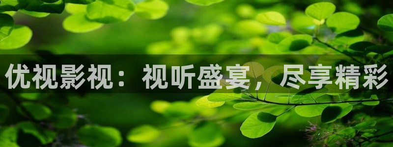 麻花视频